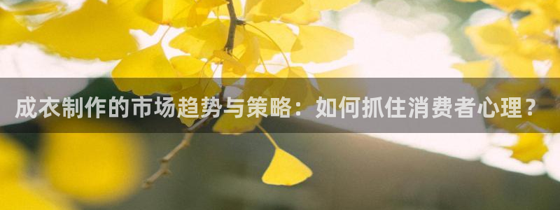 天辰娱乐天辰宝