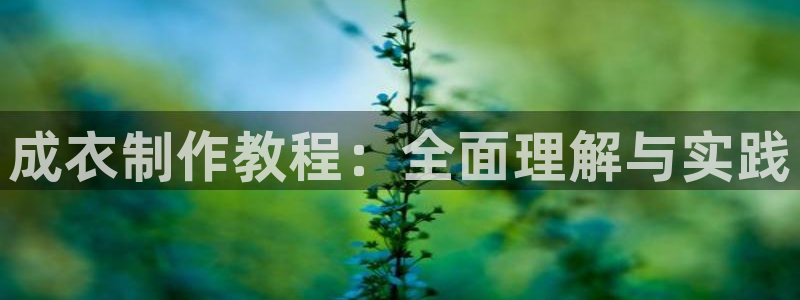天辰娱乐 18113