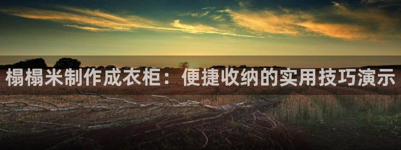 辰天娱乐