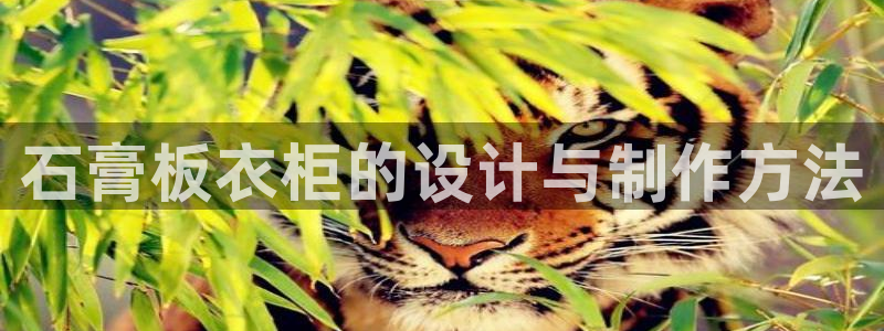 天辰娱乐平台娱乐注册