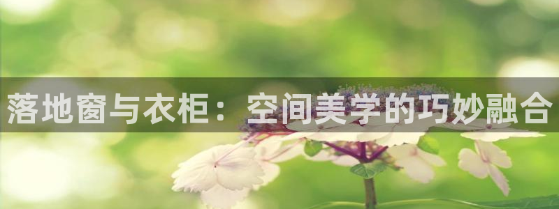 天辰娱乐 231639