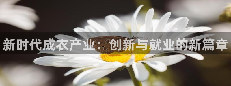 天辰娱乐跑的快