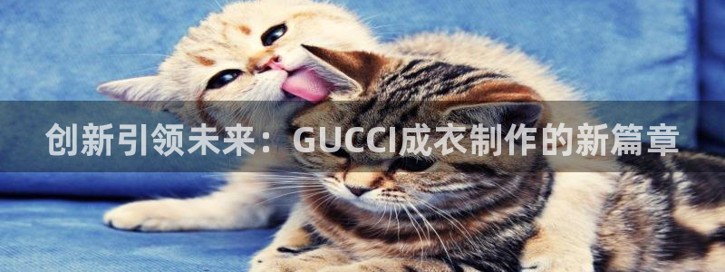 天辰娱乐天辰宝