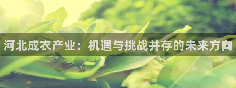 天辰娱乐招商