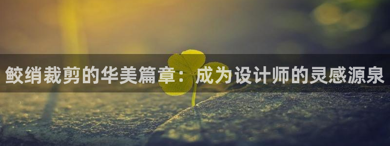 天辰娱乐51137