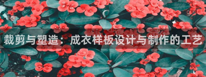 天辰娱乐软件