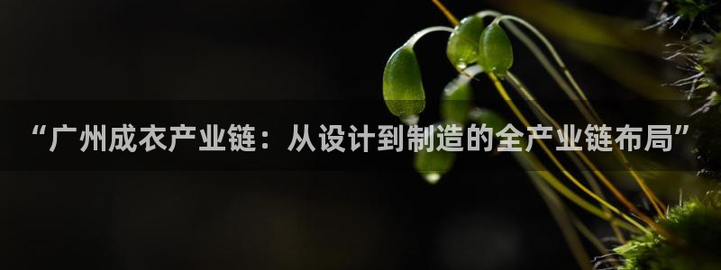 天辰娱乐老板