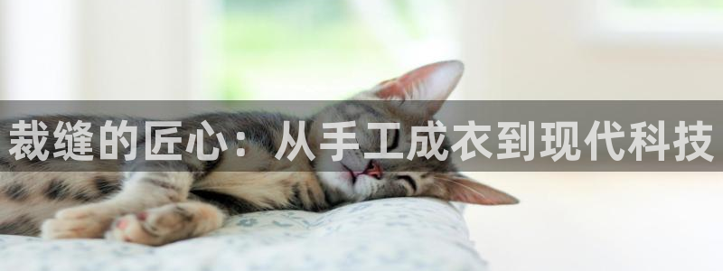 天辰娱乐测试