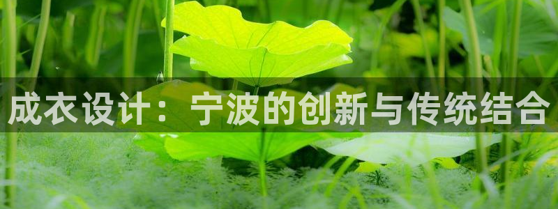 天辰娱乐app