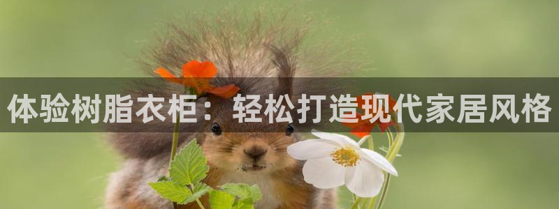 天辰娱乐557696