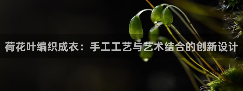 天辰娱乐小妹