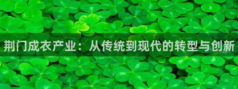 天辰娱乐51137