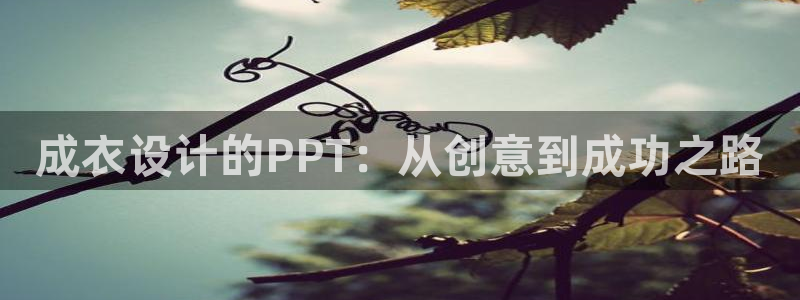 天辰娱乐平台入口