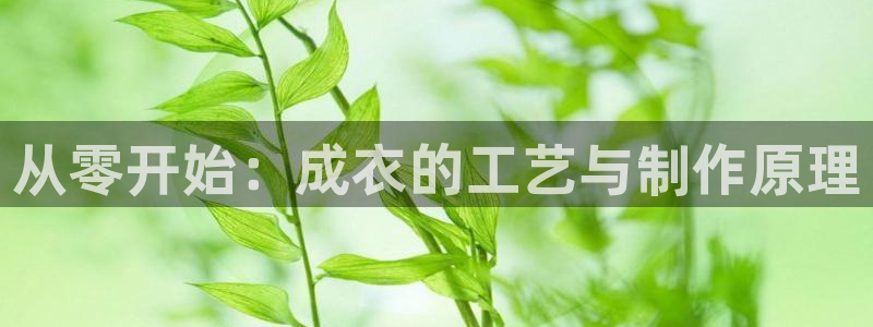 天辰娱乐官