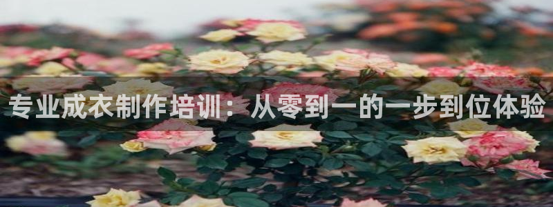 天辰娱乐 qq