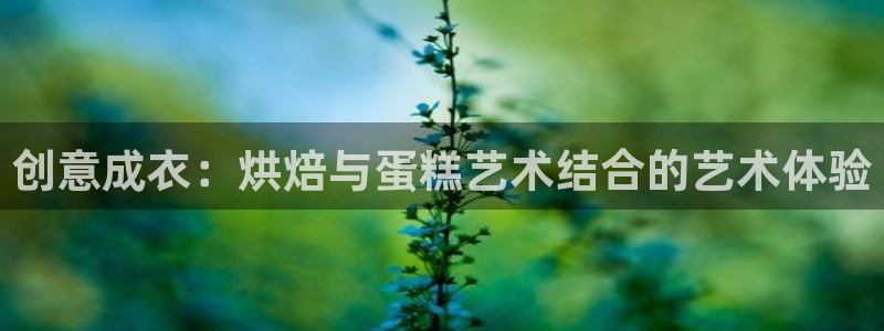天辰娱乐tff