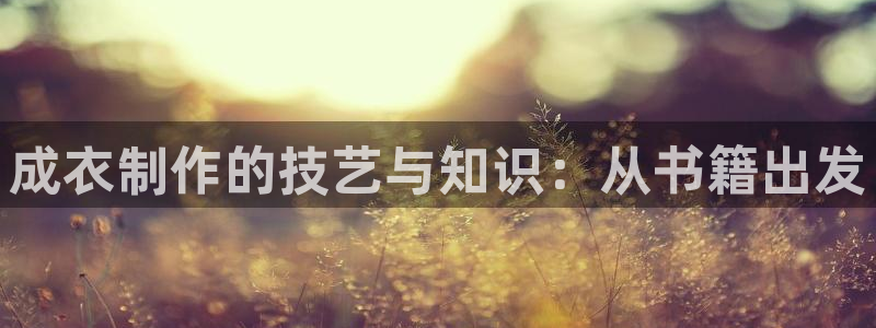 深圳天辰娱乐