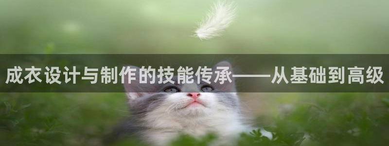 天辰娱乐分红