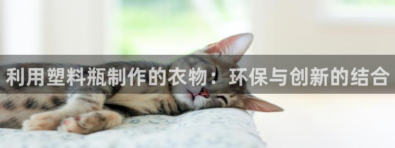 天辰娱乐扣钱