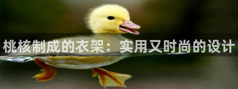 天辰娱乐APP下载