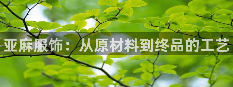 天辰娱乐84566