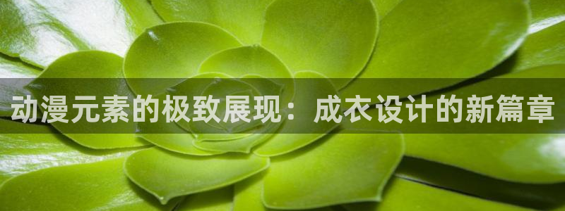 天辰娱乐路线