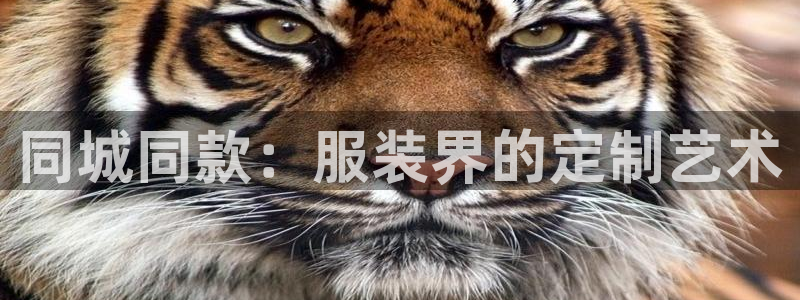 天辰娱乐挂机
