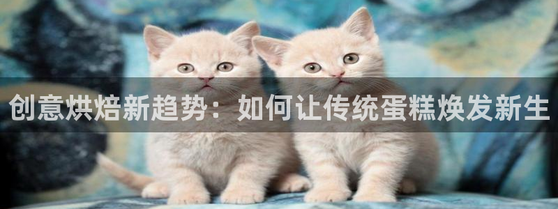 手机上怎么下载天辰娱乐