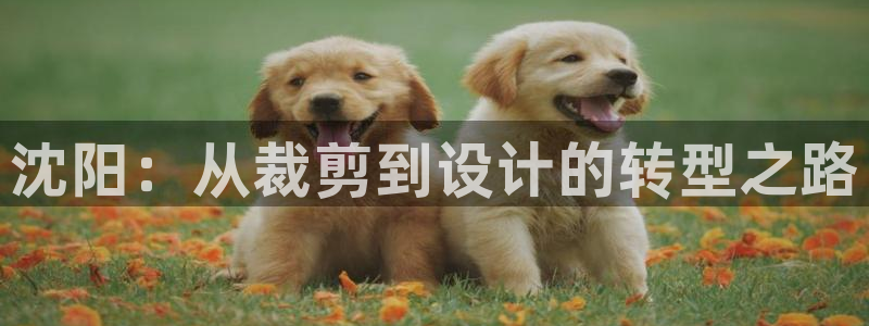 天辰娱乐网址娱乐游戏