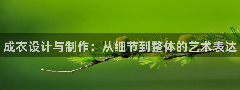 天辰娱乐平台app下载