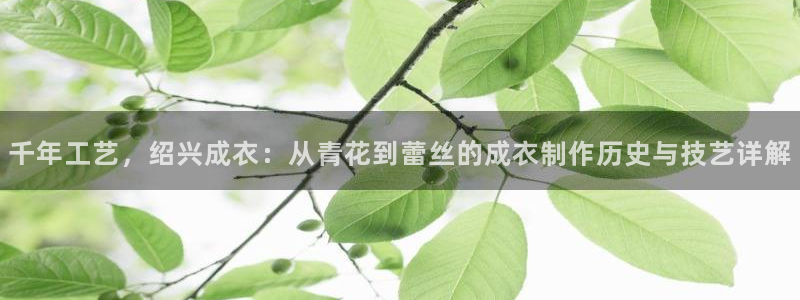 天辰在线娱乐