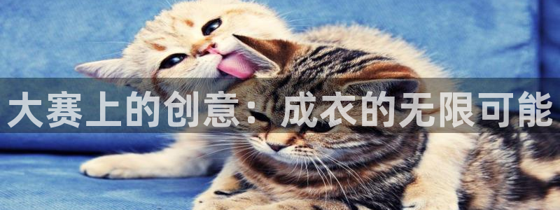 天辰娱乐赌博