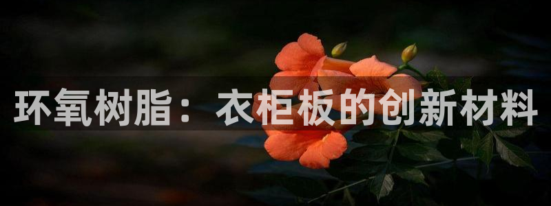 天辰娱乐675138