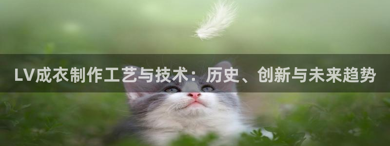 天辰娱乐网
