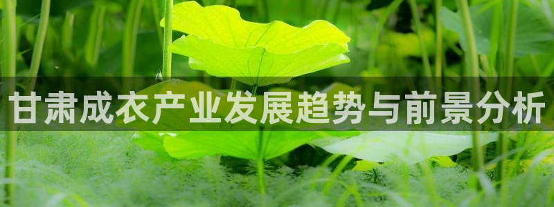 天辰娱乐1996