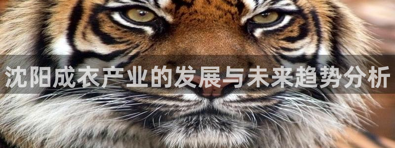 天辰娱乐61116