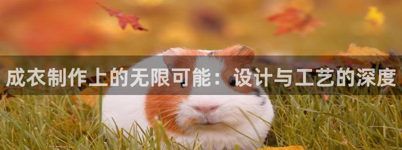天辰娱乐内部