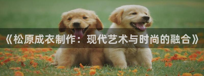 天辰娱乐集团