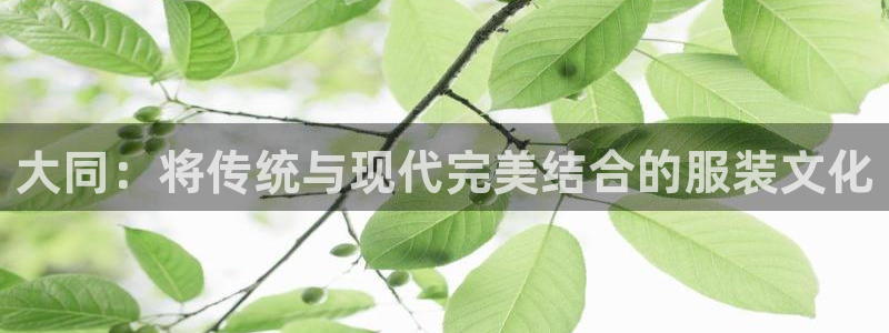 天辰娱乐测试