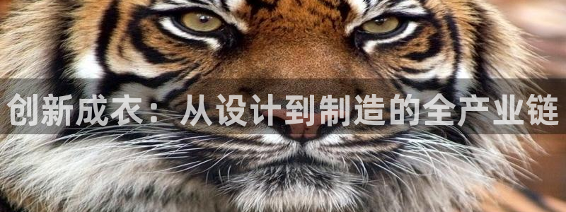辰天娱乐用品