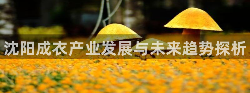 天辰娱乐平台靠谱么